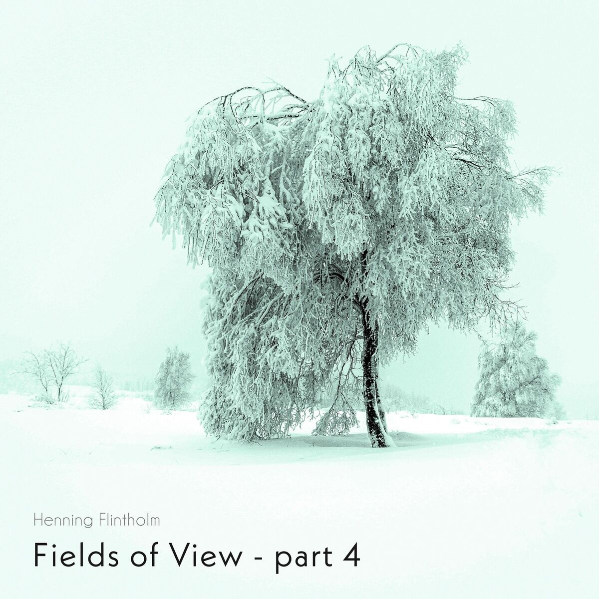 Album cover of Fields of View - part 4