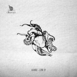 Cover of Link EP