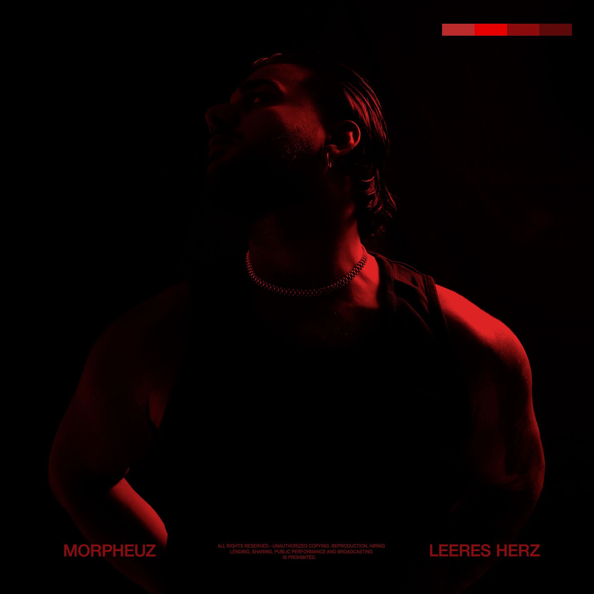 Album cover of Leeres Herz