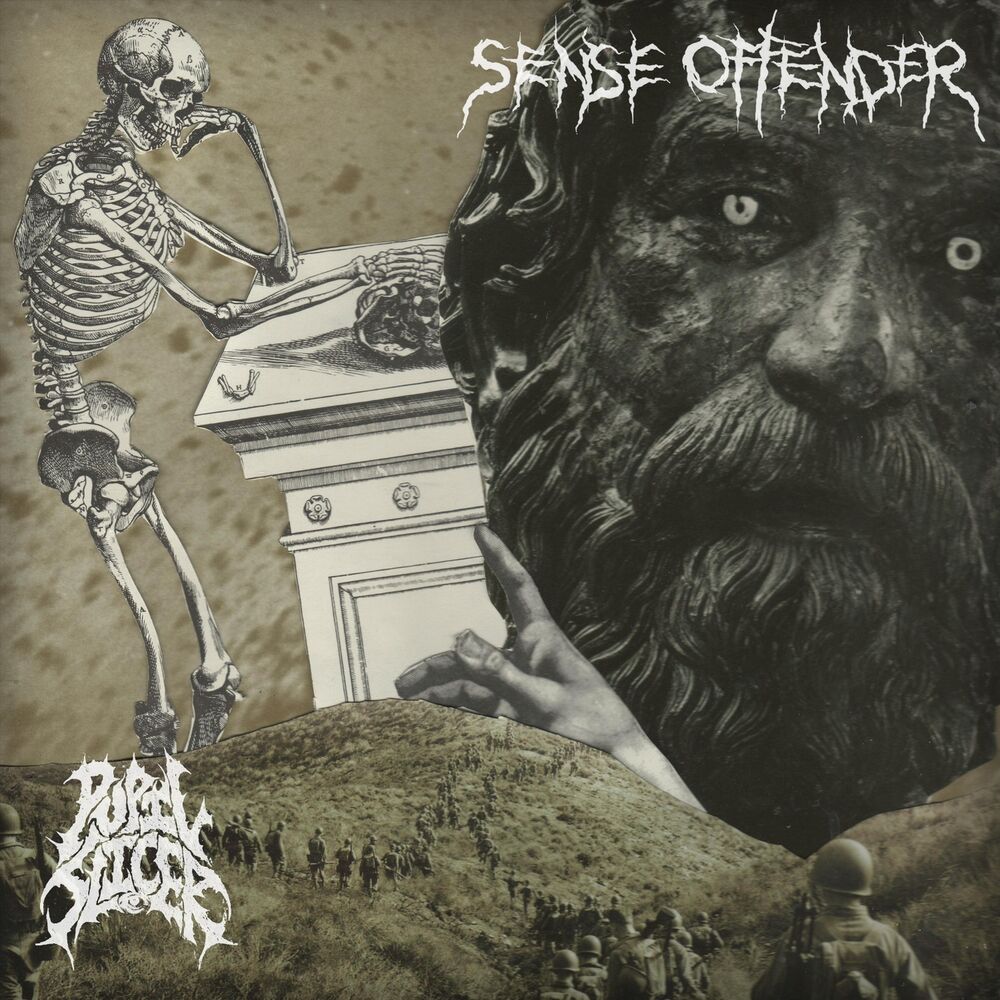 Picture of Sense Offender / Pupil Slicer (Split)