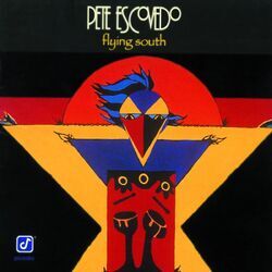 Cover of Flying South