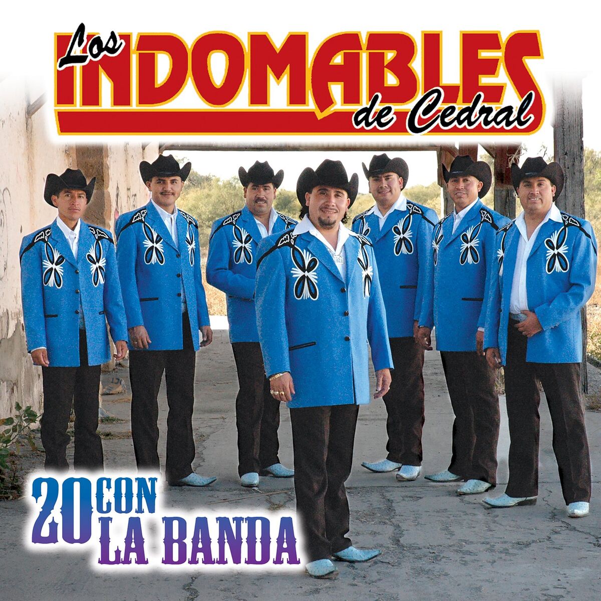 Album cover of 20 Con la Banda