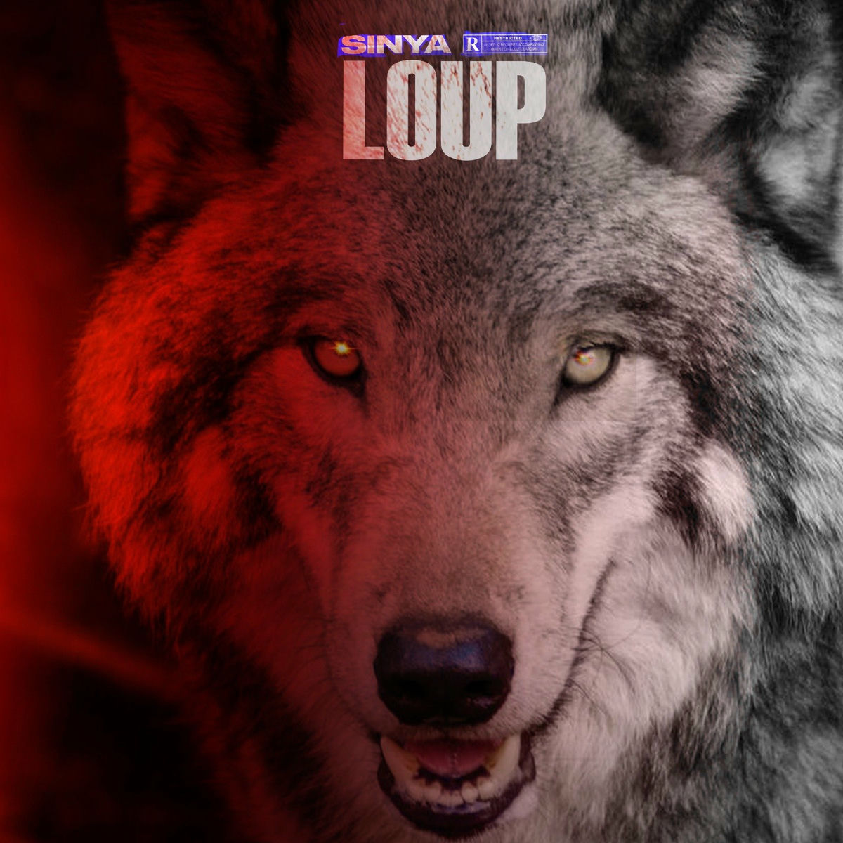 Album cover of Loup