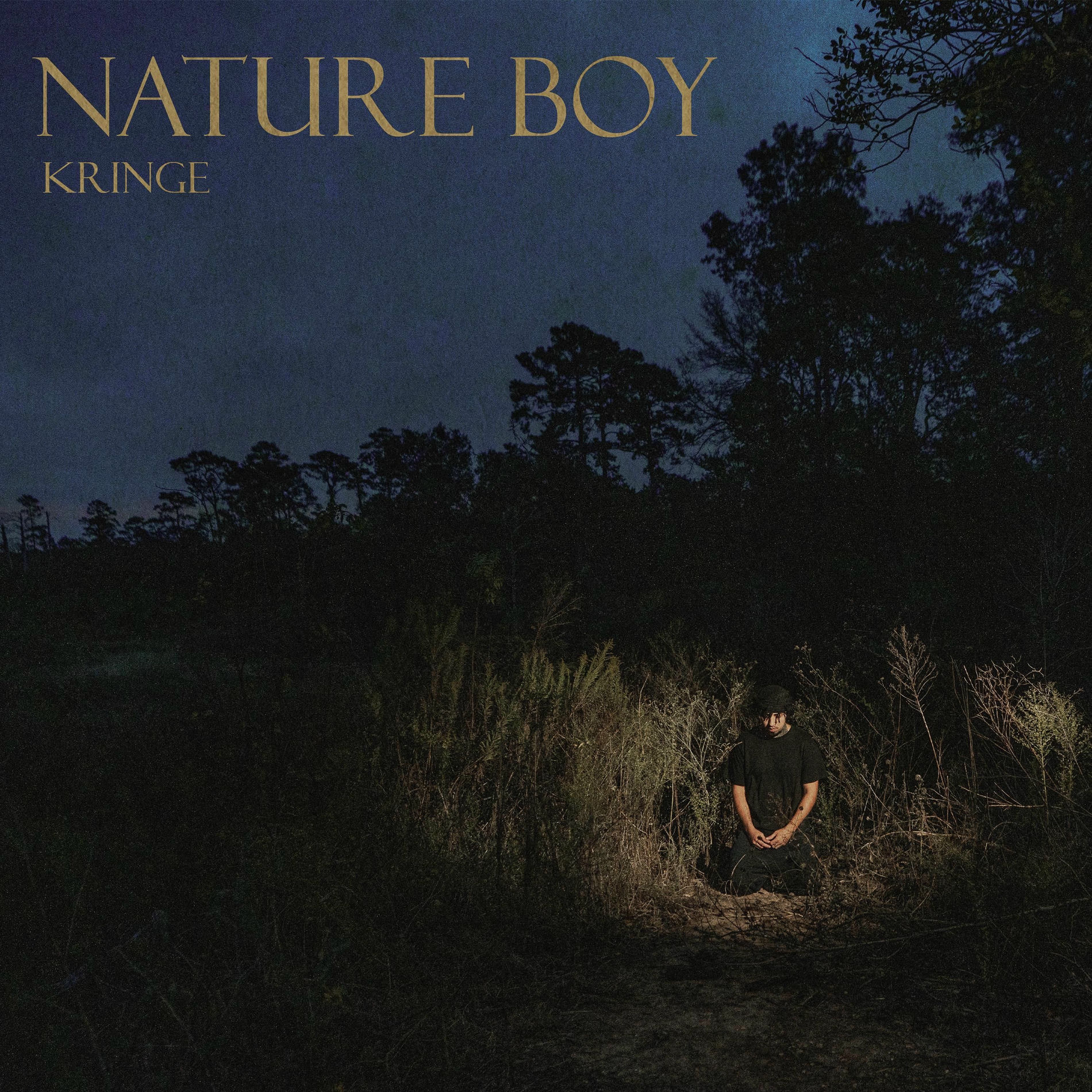Album cover of Nature Boy