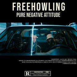 Cover of Pure Negative Attitude
