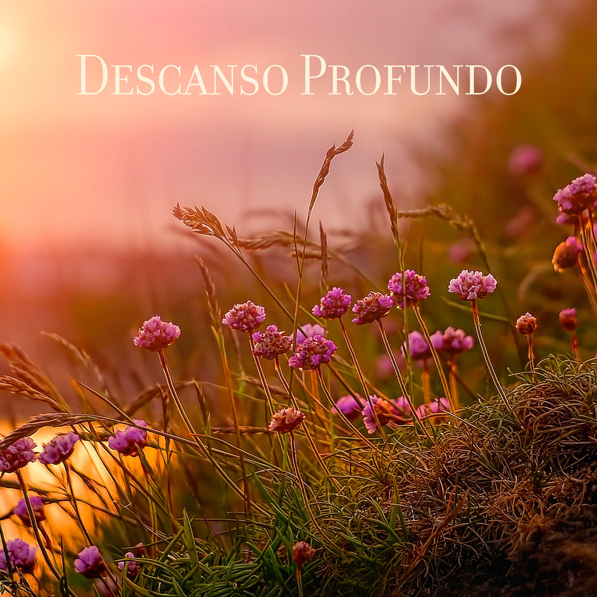 Album cover of Música Relaxante