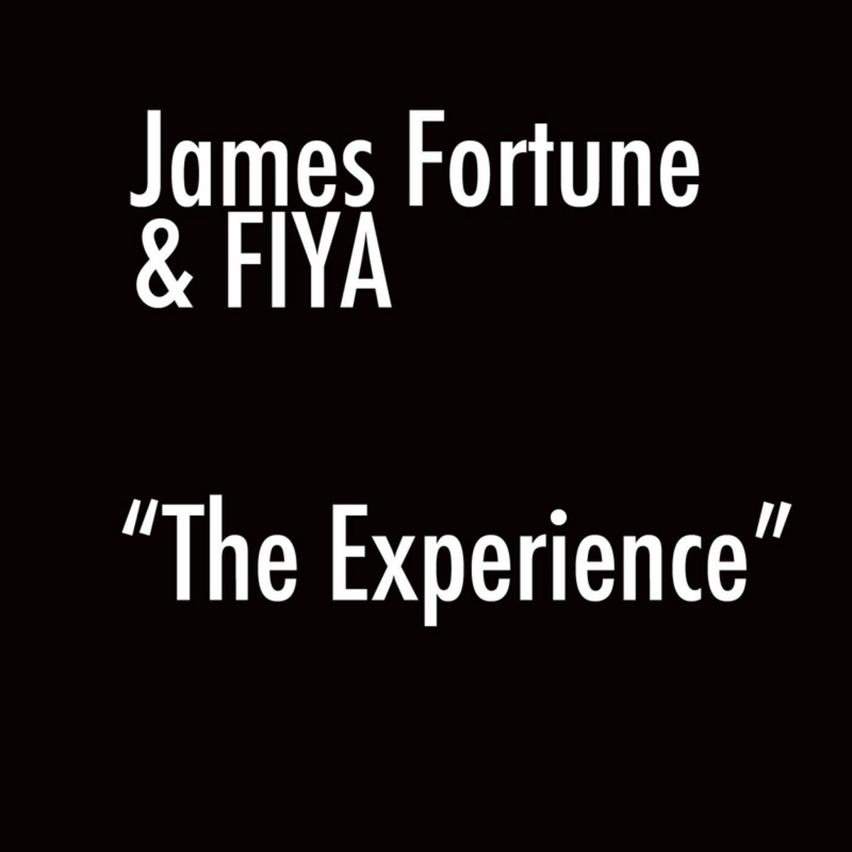 Album cover of The Experience