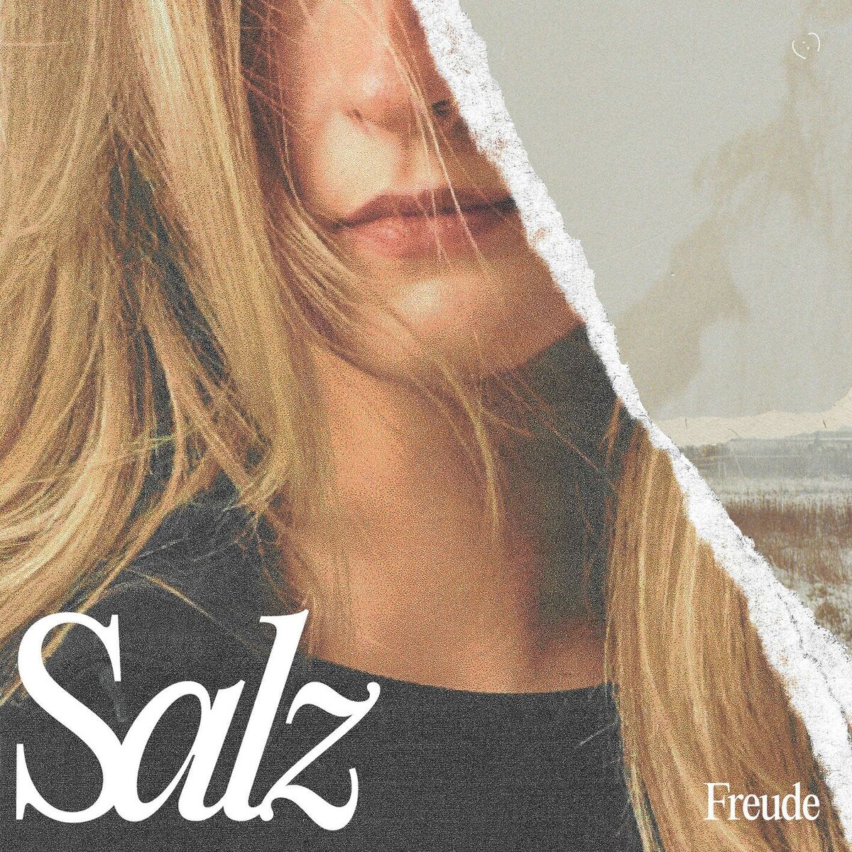 Album cover of Salz