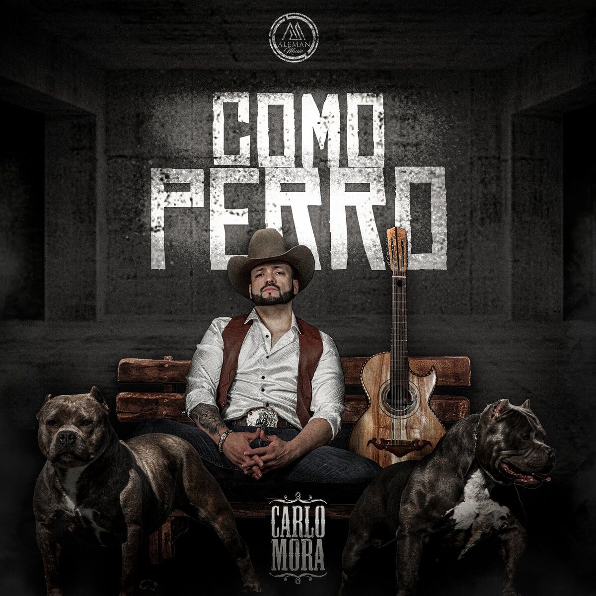 Album cover of Como Perro