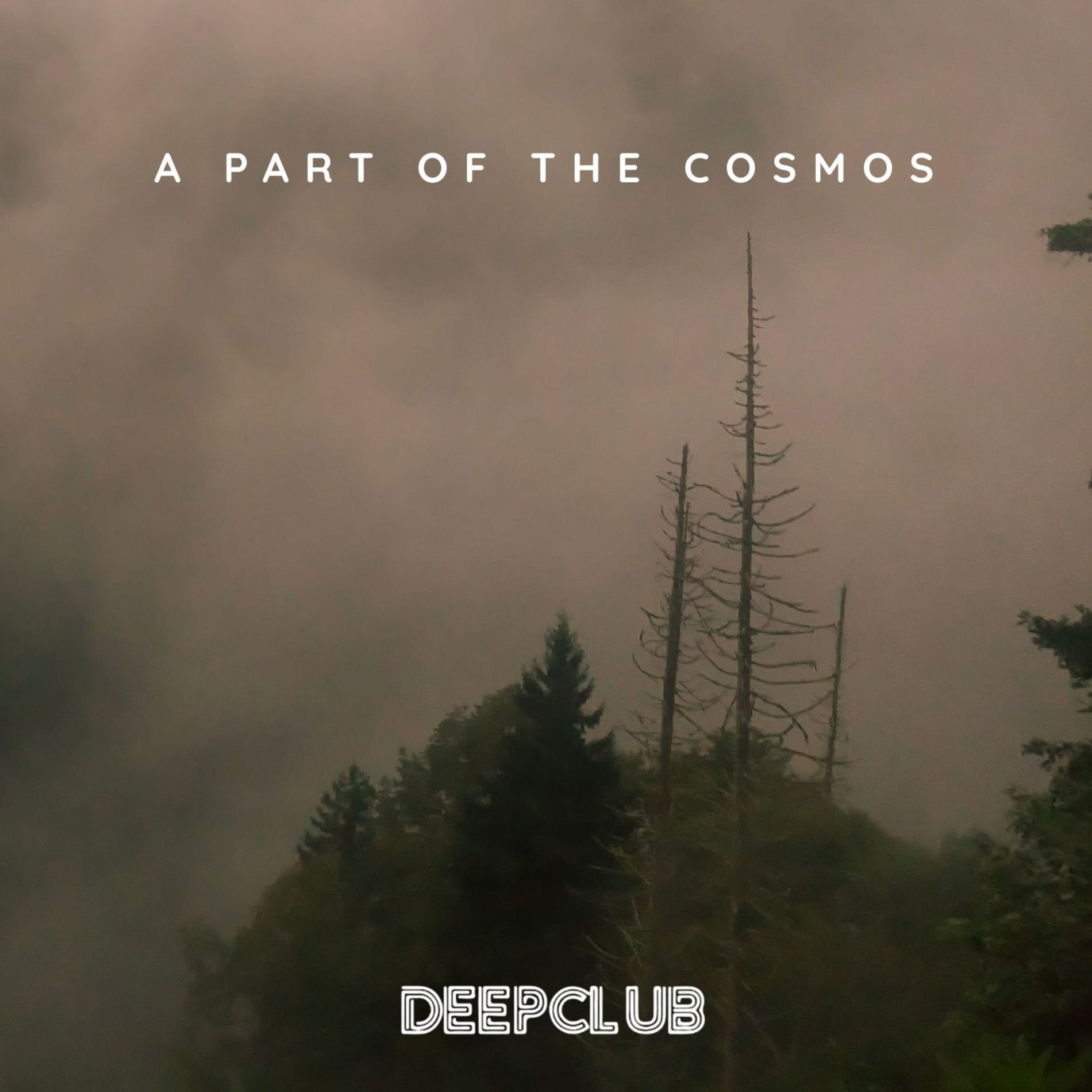 Album cover of A Part Of The Cosmos
