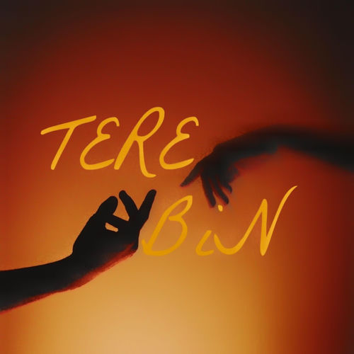 Tere Bin sleeve