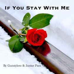Cover of If You Stay with Me