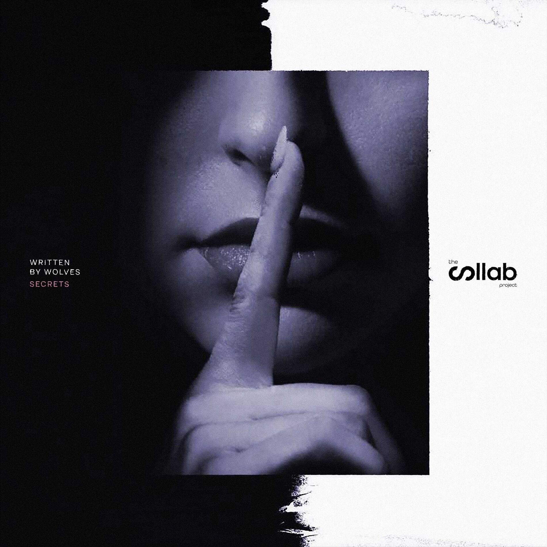 Album cover of The Collab Project / / Secrets