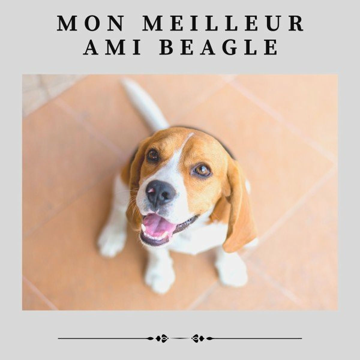 Album cover of Mon Meilleur Ami Beagle