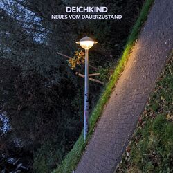 Cover of Neues Vom Dauerzustand