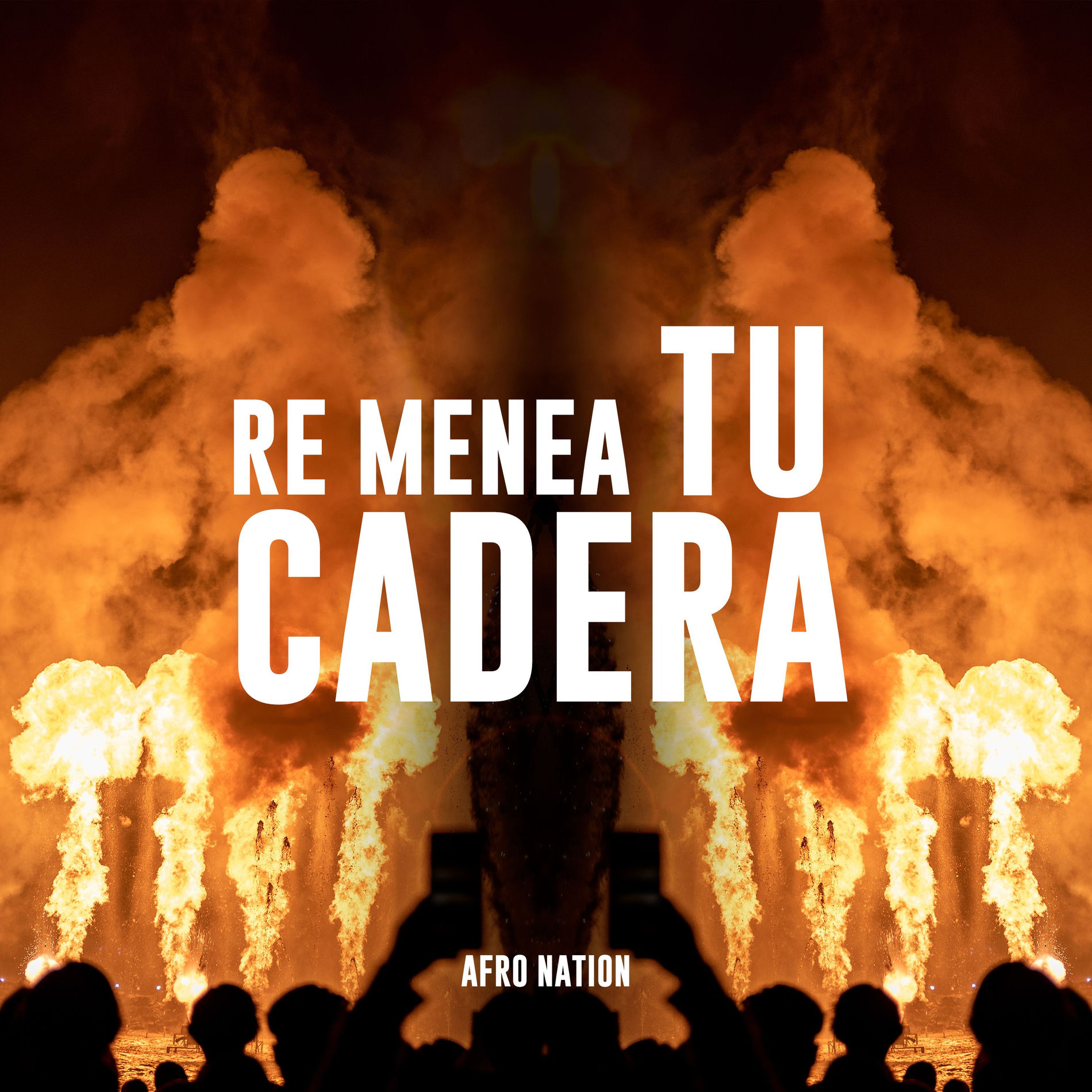 Album cover of Re Menea Tu Cadera