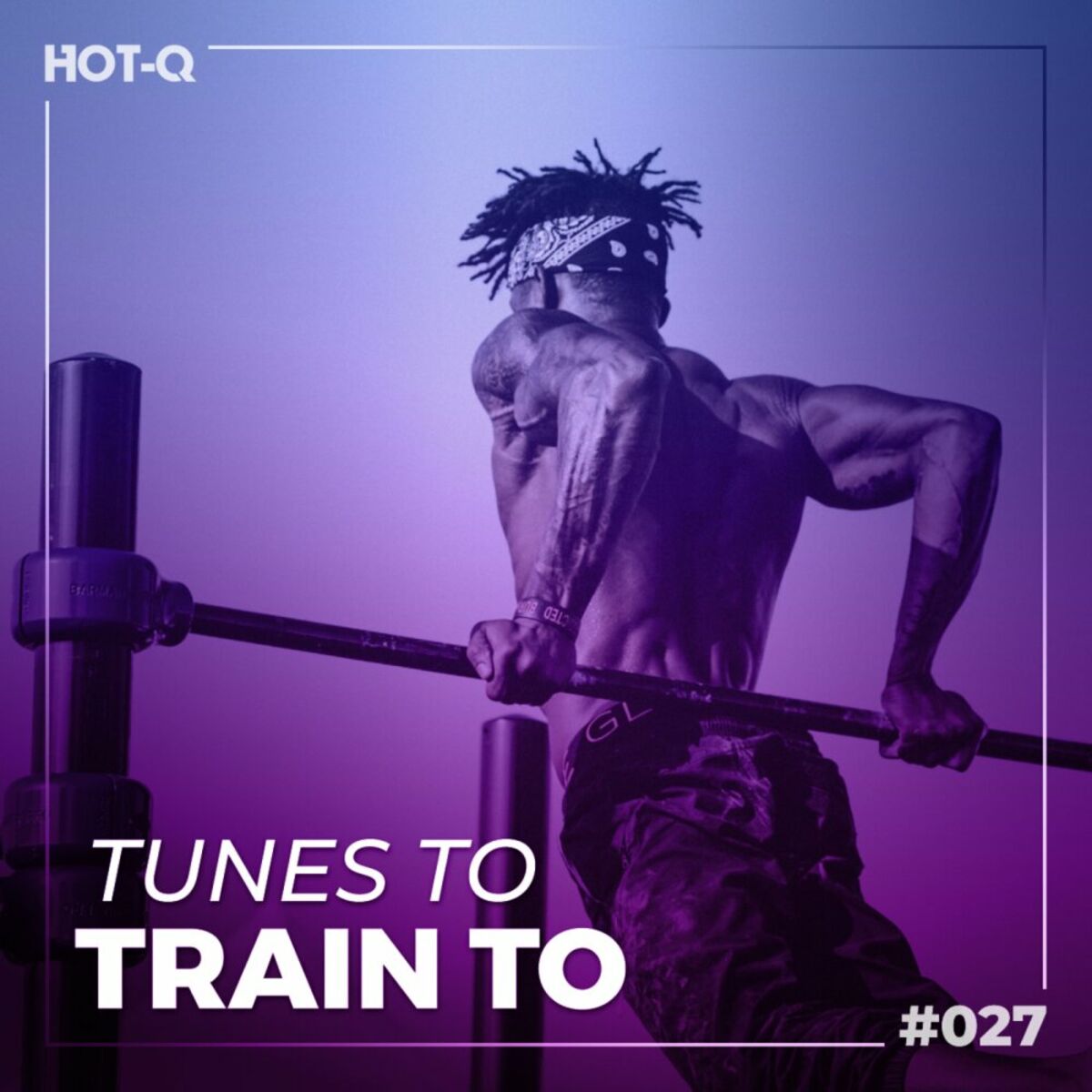 Album cover of Tunes To Train To 027