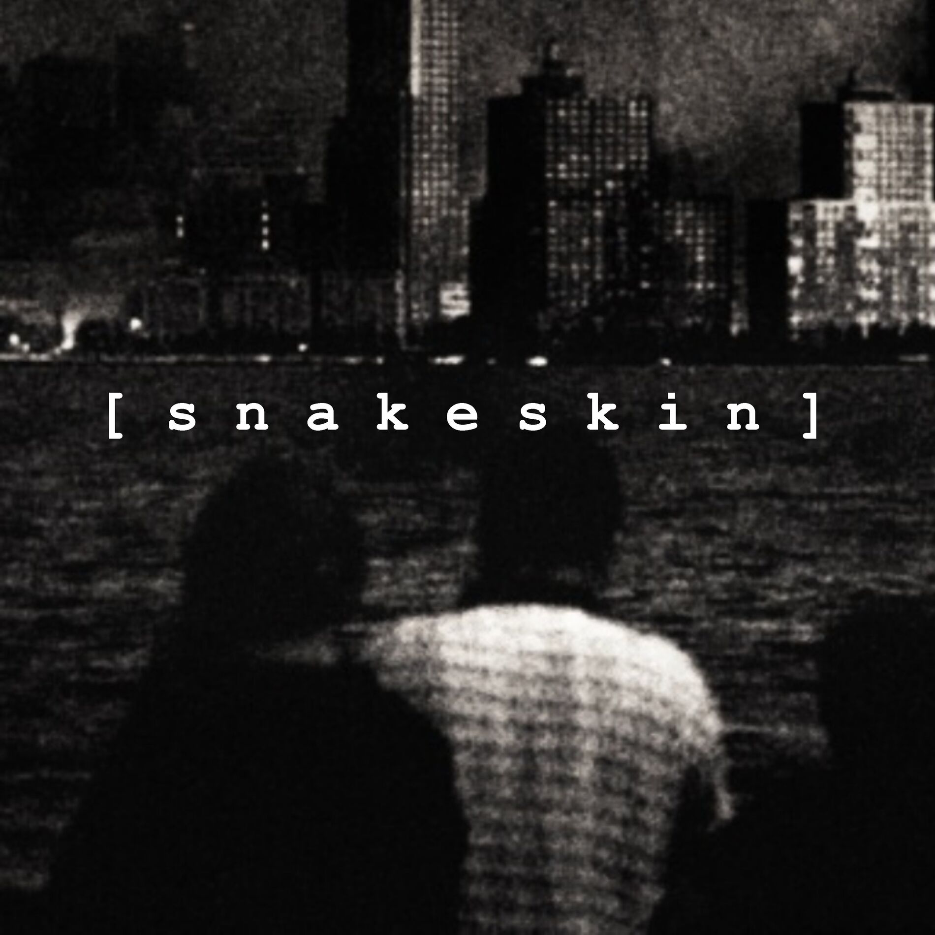 Album cover of Snakeskin