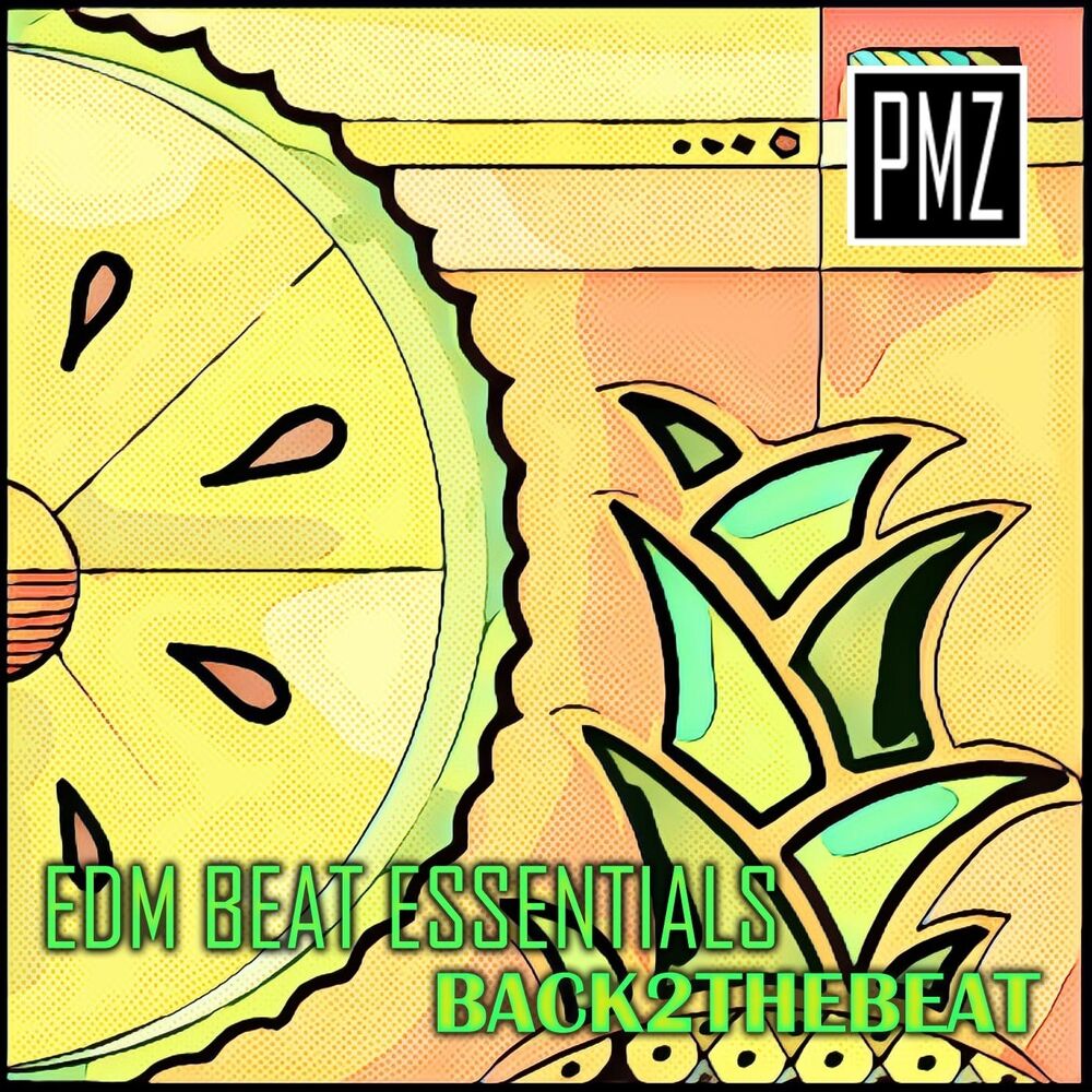 Picture of EDM Beat Essentials: Back 2 the Beat