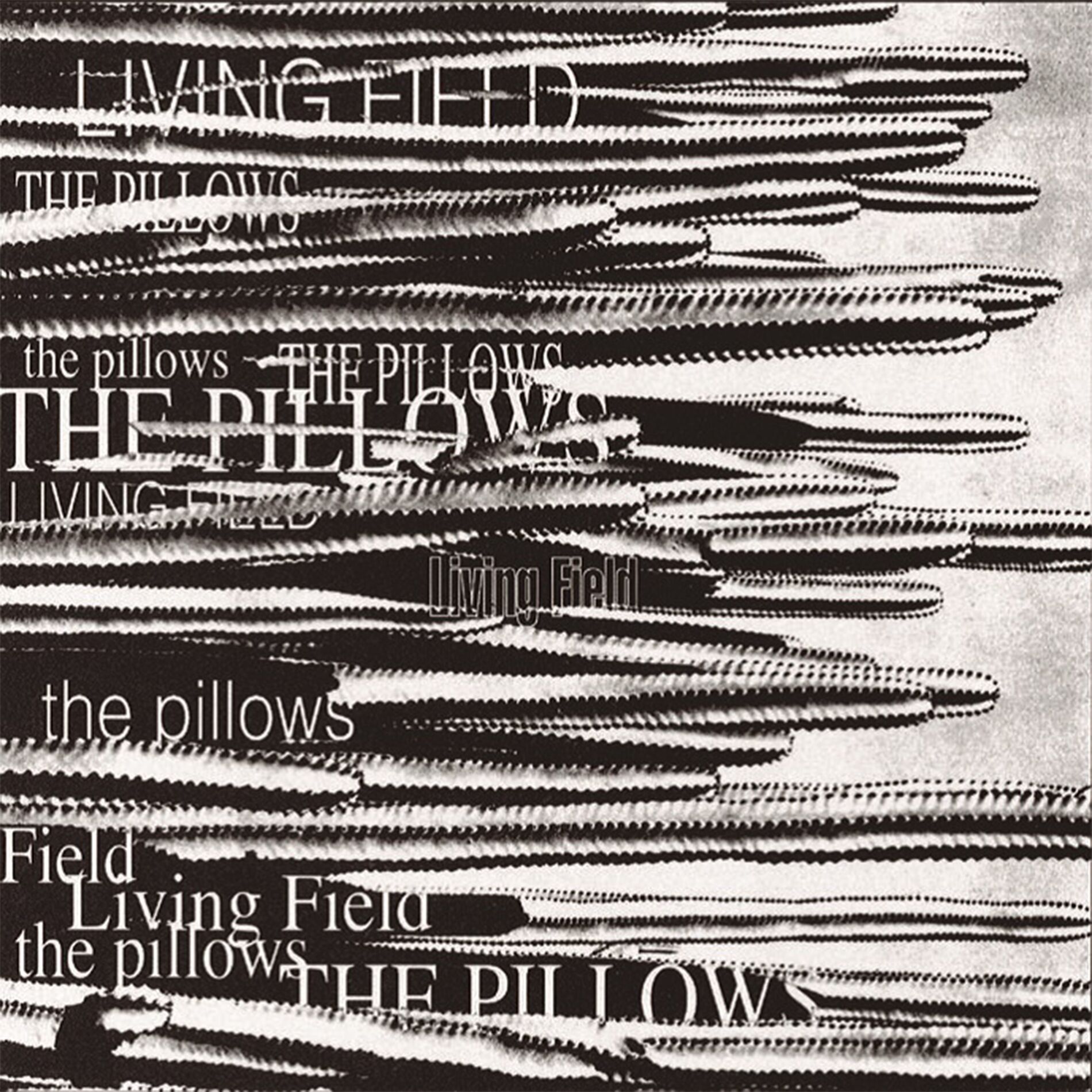 Album cover of LIVING FIELD