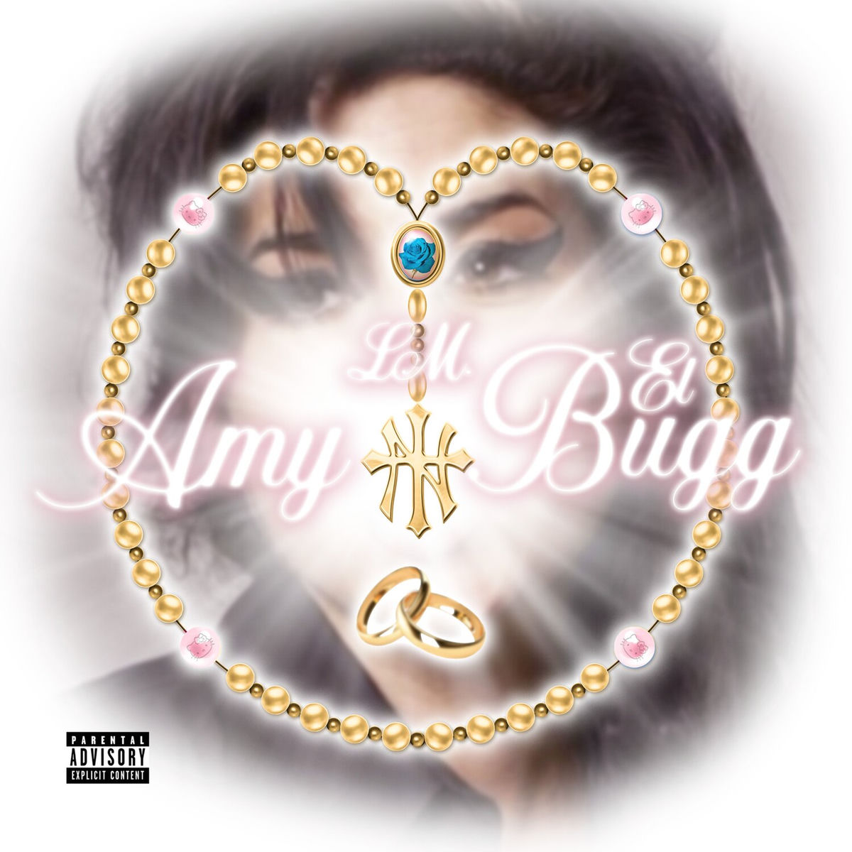 Album cover of Amy