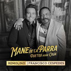 Cover of Remolino