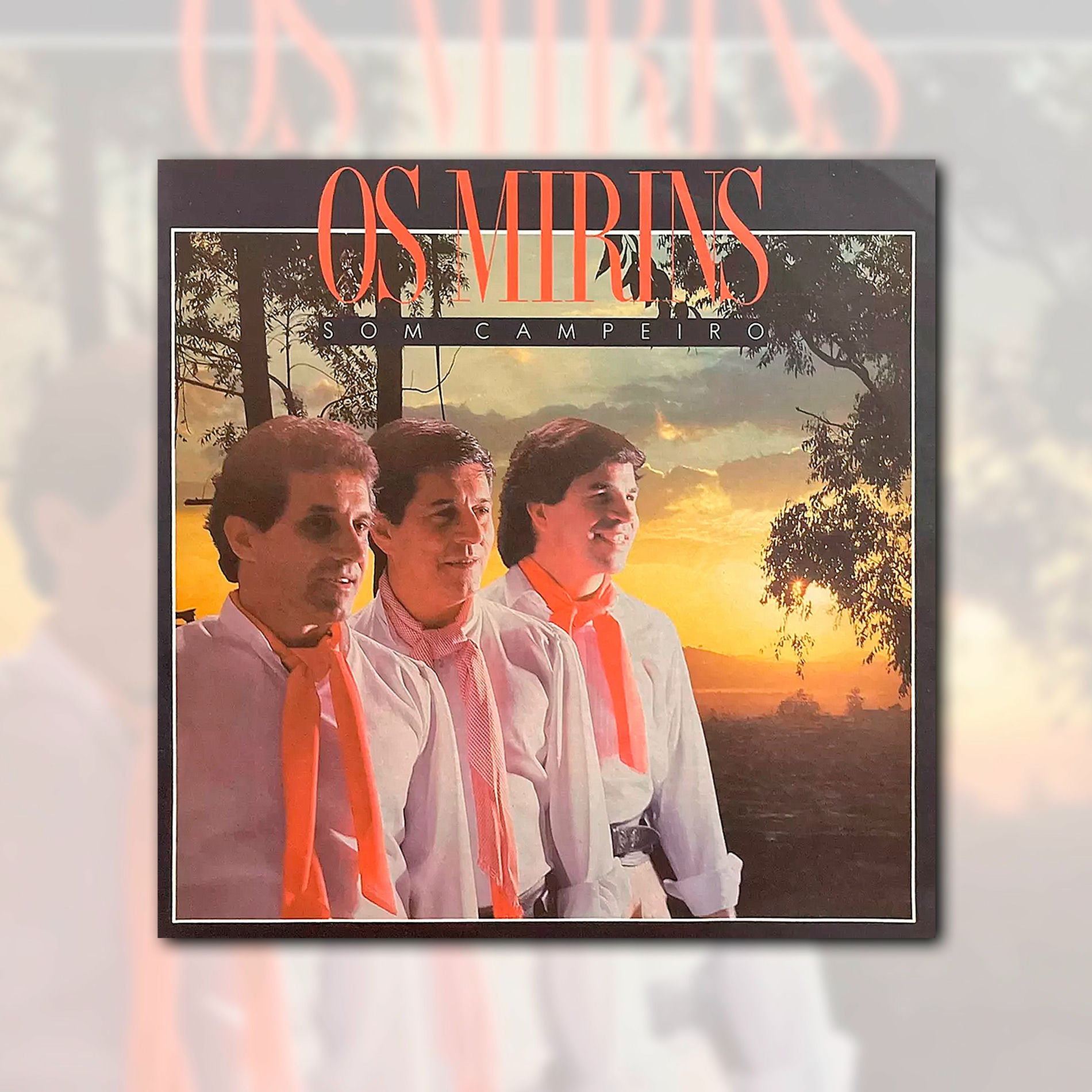 Album cover of Som Campeiro