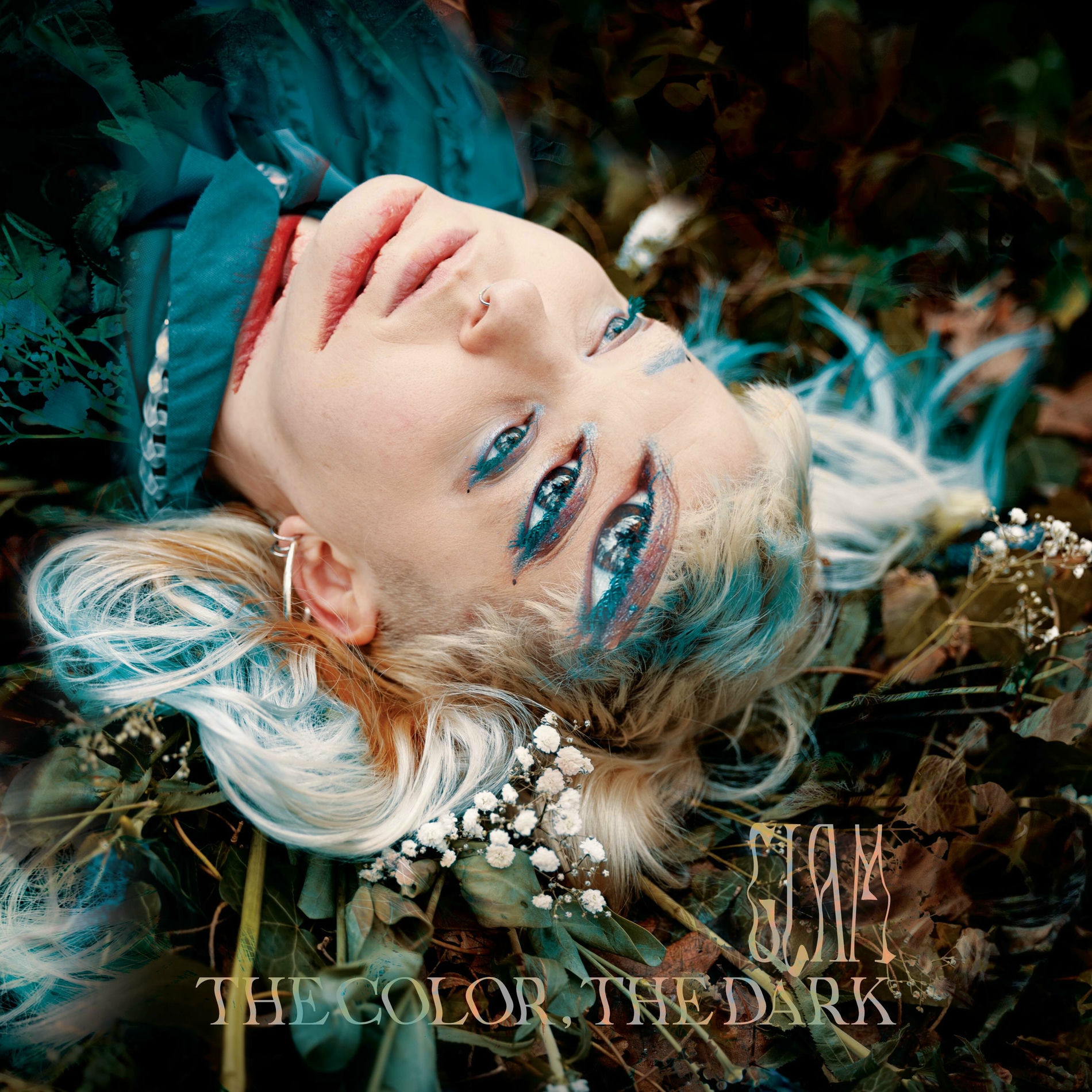 Album cover of The Color, The Dark