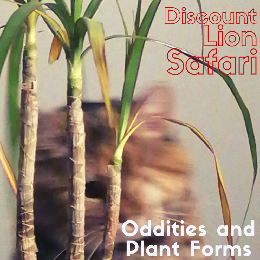 Album artwork for Deadly Lively by Discount Lion Safari