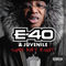 Stand Down by E-40 album cover