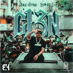 Cover of C13N