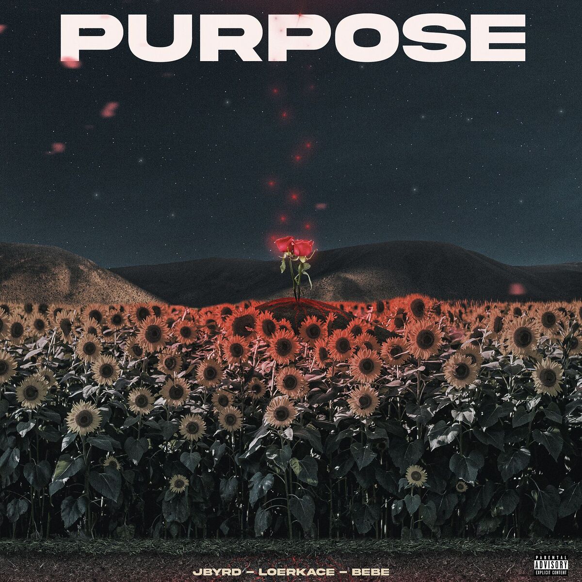 Album cover of Purpose