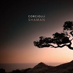 Cover of Shaman