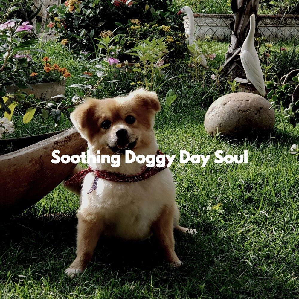 Picture of Soothing Doggy Day Soul