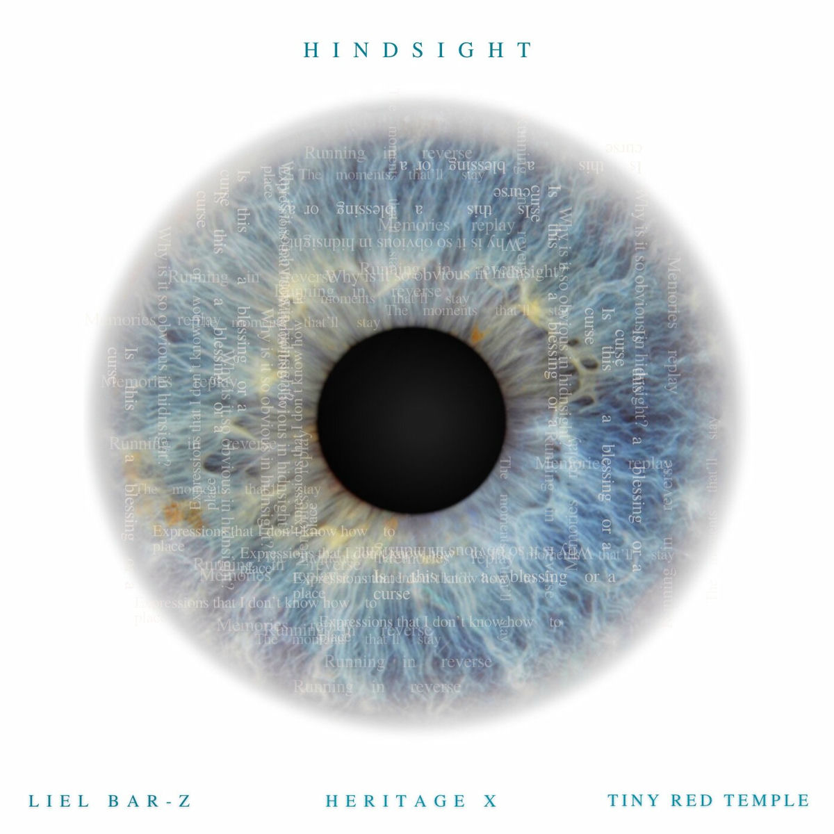 Album cover of Hindsight