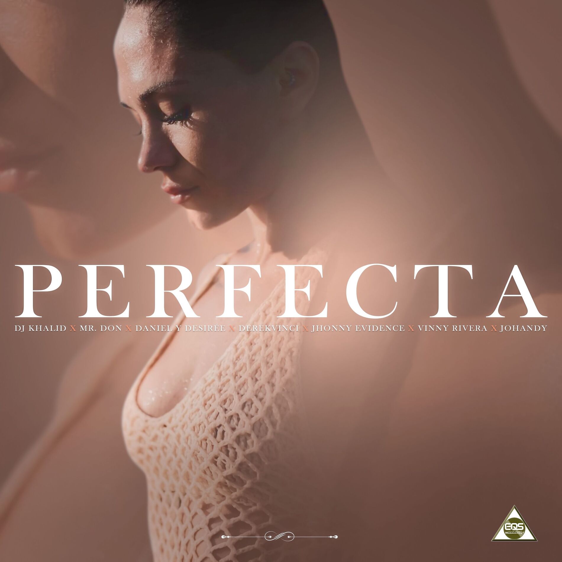 Album cover of Perfecta