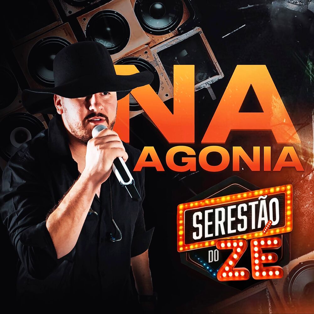 Picture of Serestão do Zé (Na Agonia)