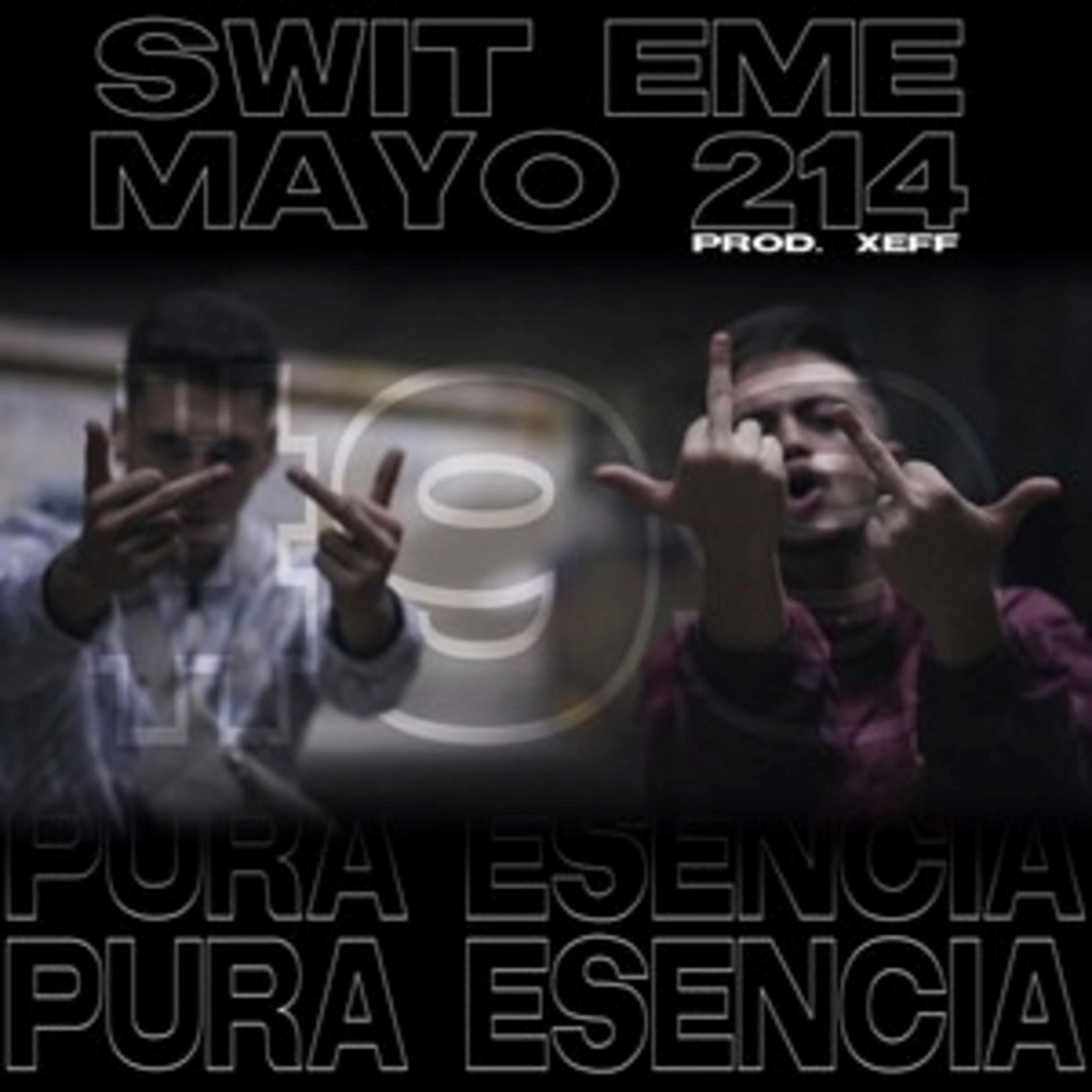 Album cover of Pura Esencia