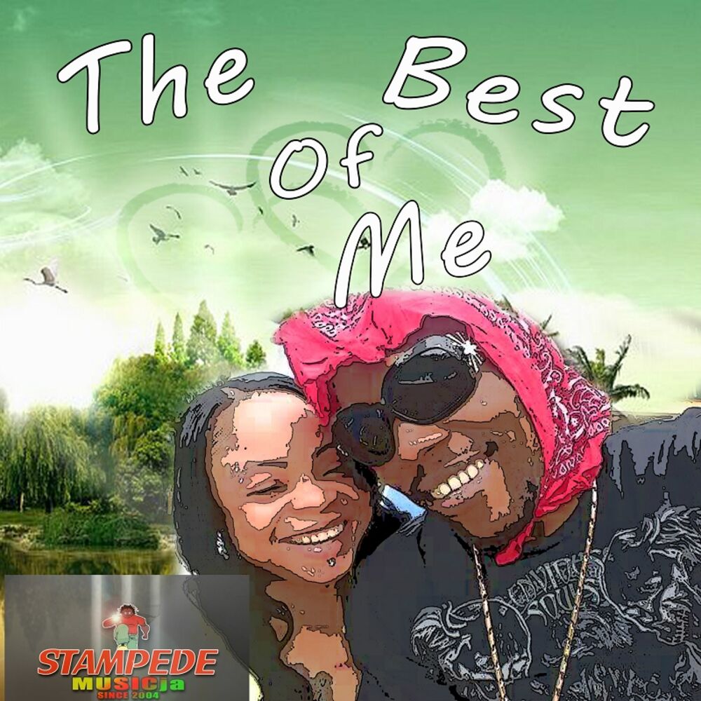 Picture of The Best of Me