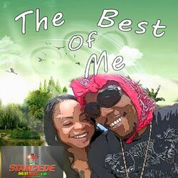 Cover of The Best of Me