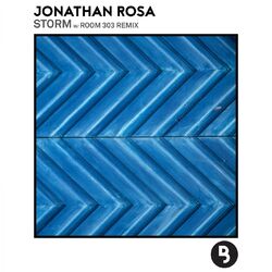 Cover of Storm