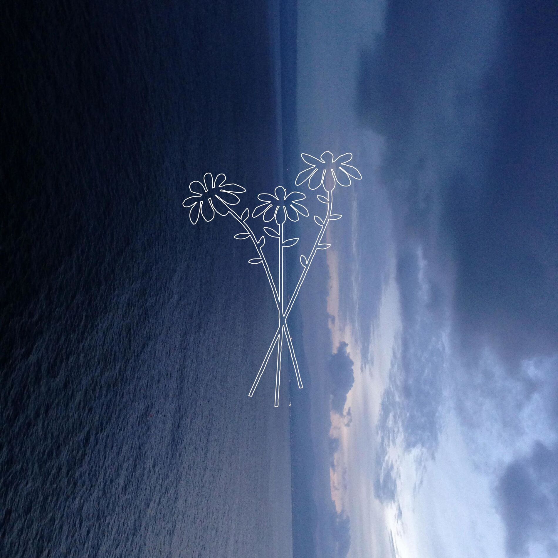 Album cover of daisy