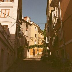 Verona