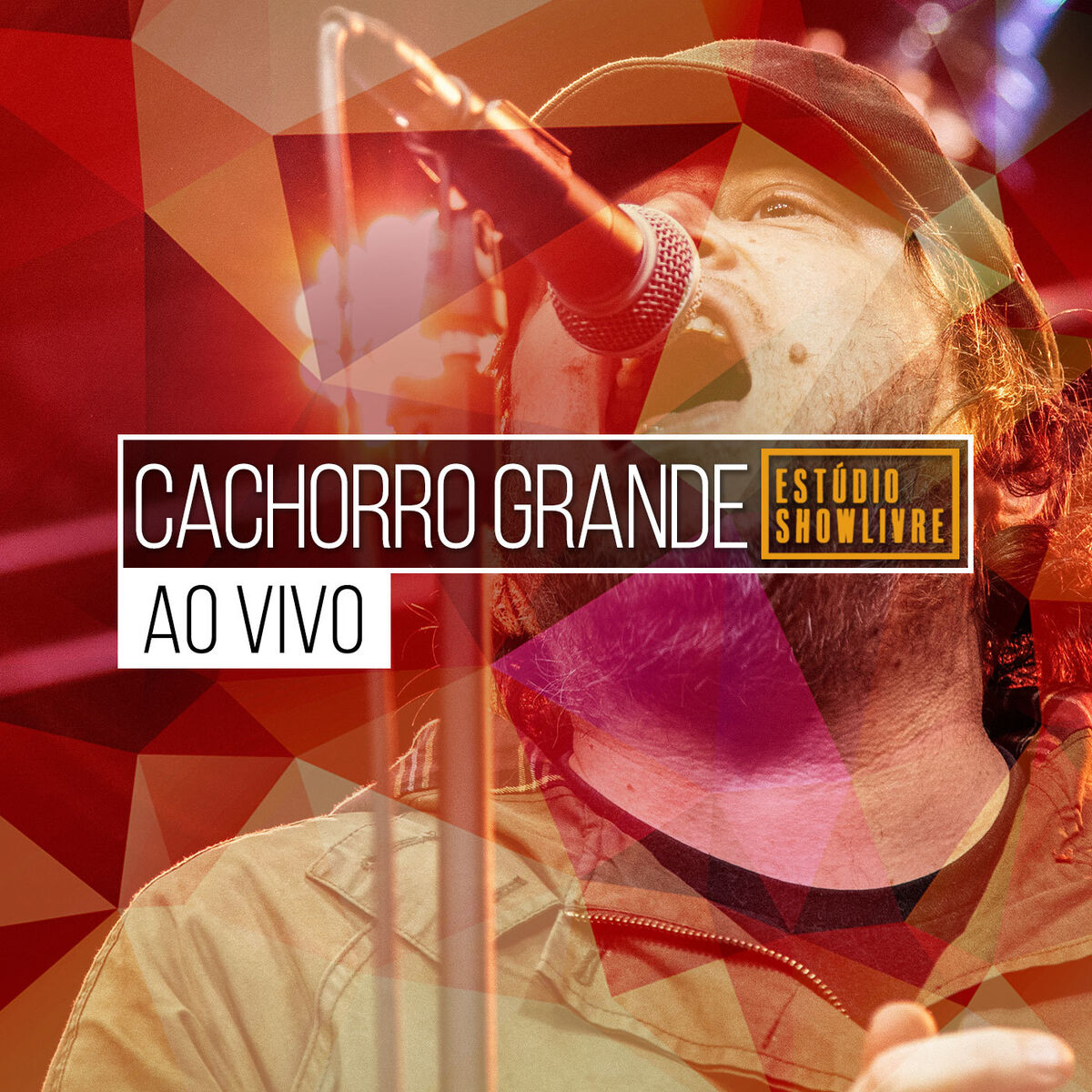 Album cover of Cachorro Grande no Estúdio Showlivre, Vol. 4 (Ao Vivo)