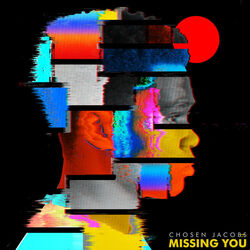 Cover of Missing You