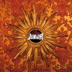 Cover of Snii
