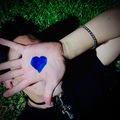 Lov Lov