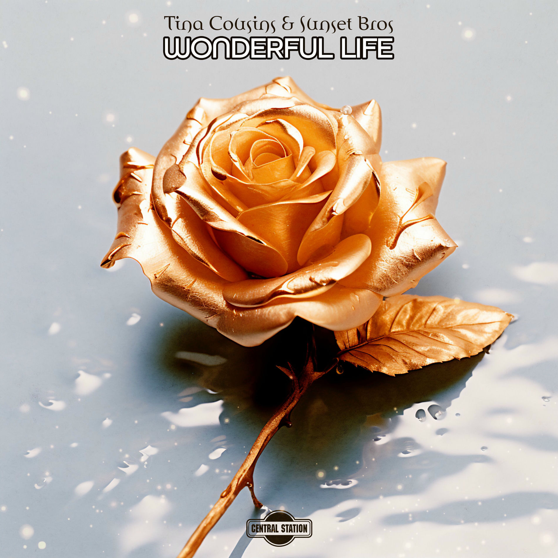 Album cover of Wonderful Life