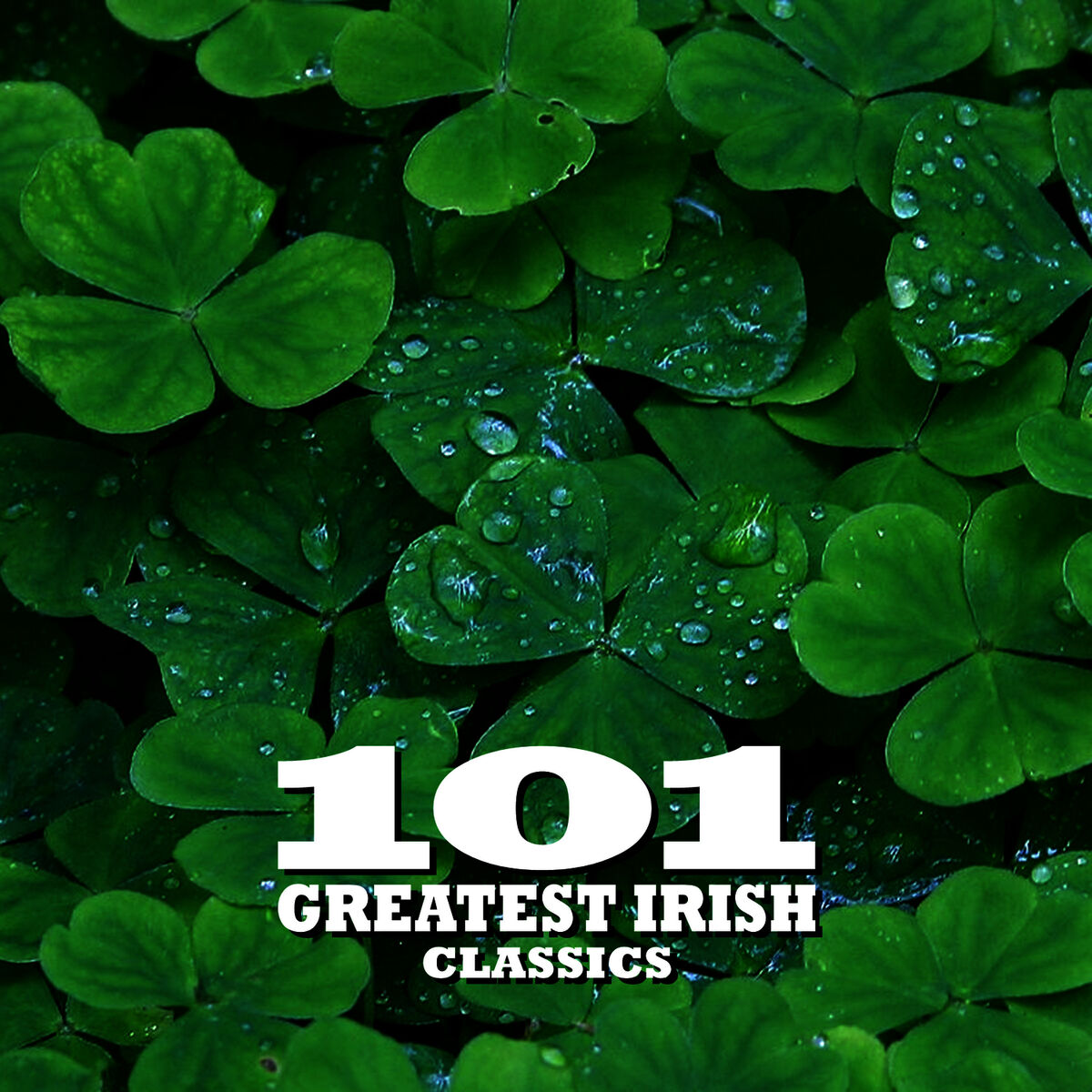 Album cover of 101 Essential Irish Classics