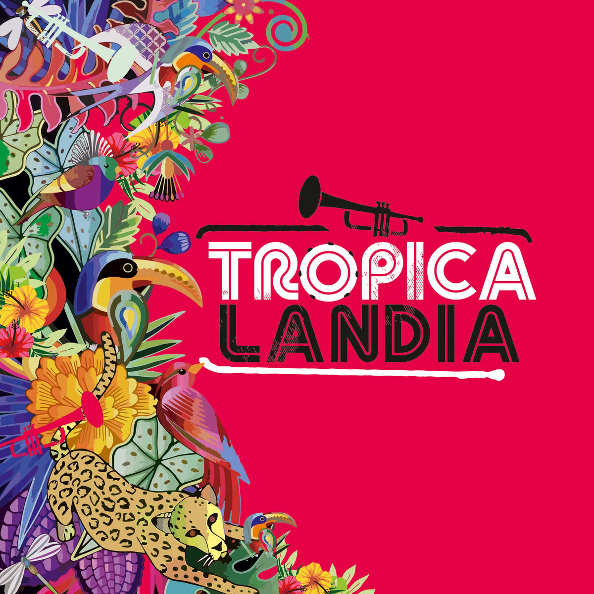 Album cover of Tropicalandia